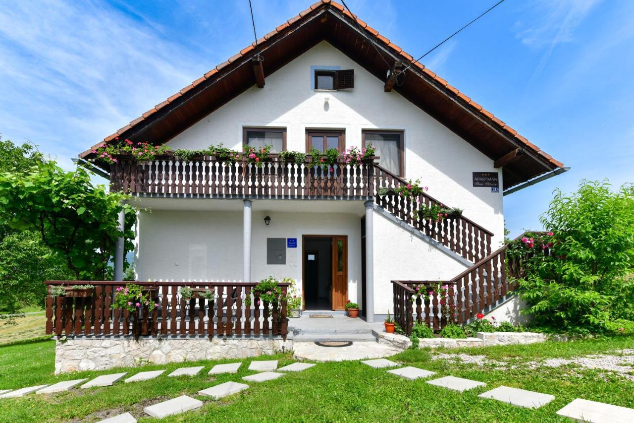 Apartman Plum Plitvice Drežnik Grad Eksteriør billede