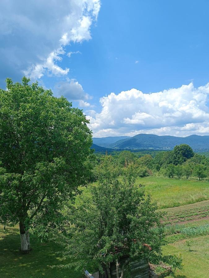 Apartman Plum Plitvice Drežnik Grad Eksteriør billede